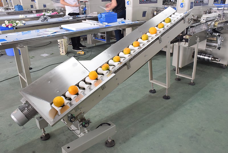 fruit and vegetable wrapping machine