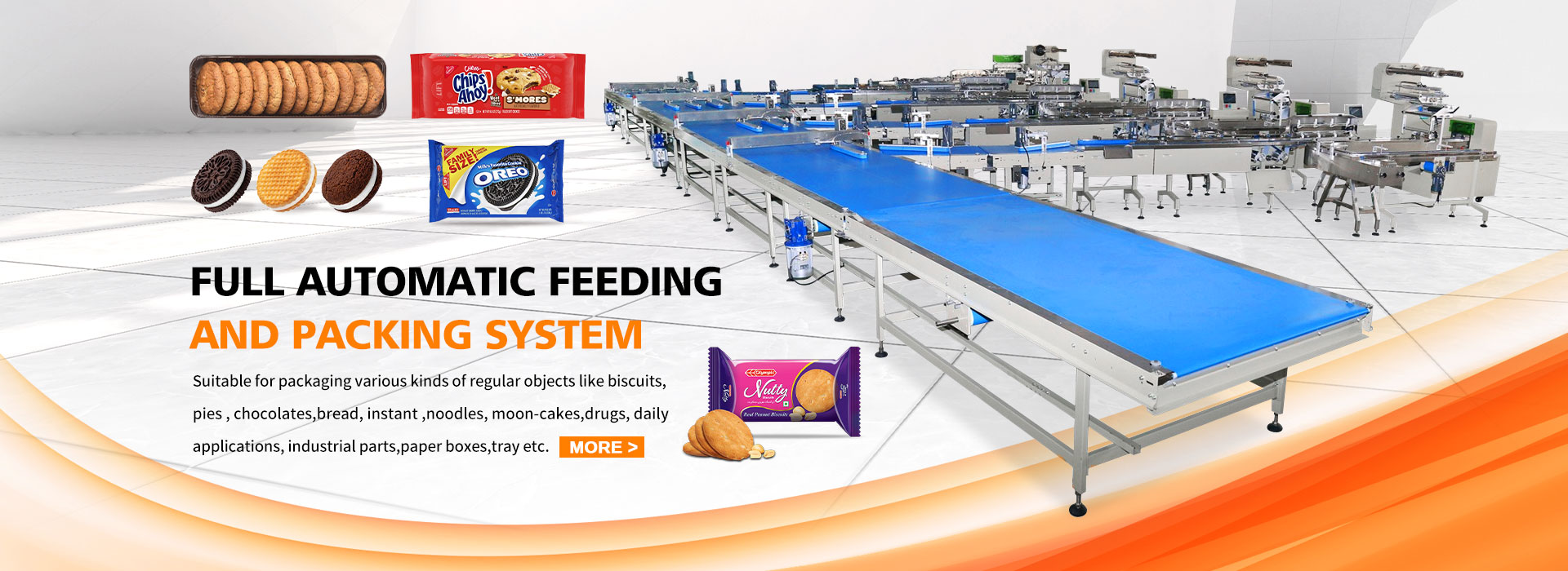 Automatic Feeding And Packing System