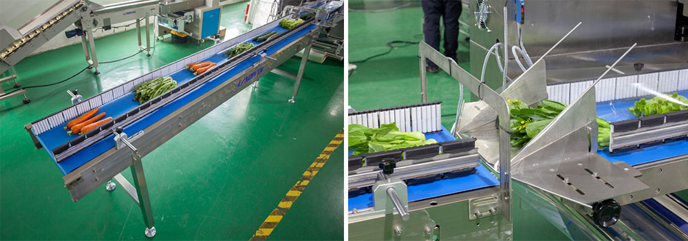 Automatic Vegetable Packaging Machine Introduction