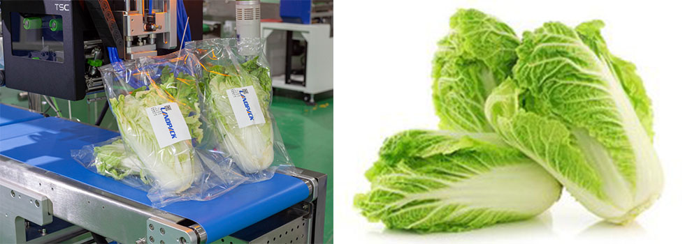 How To Choose A Perfect Vegetable Packing Machine