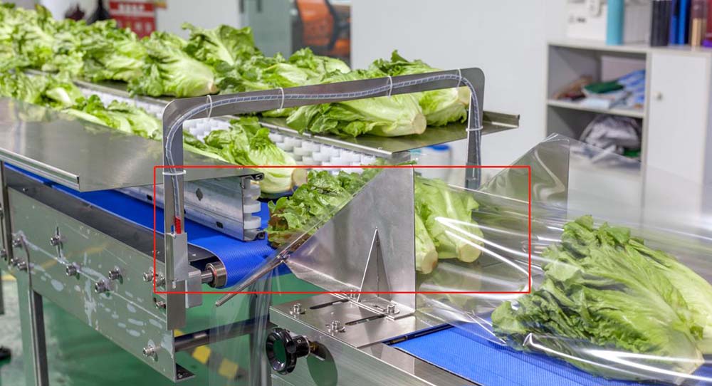 What Are The Functions Of Vegetable Packaging Machine