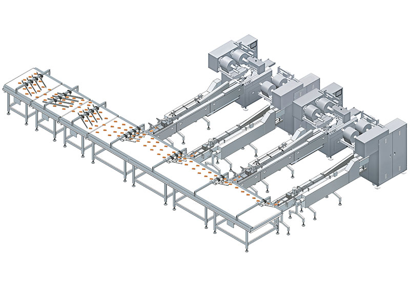 Automatic Feeding and Packing Line LPX-CF4