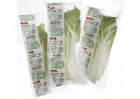 fruit and vegetable packing