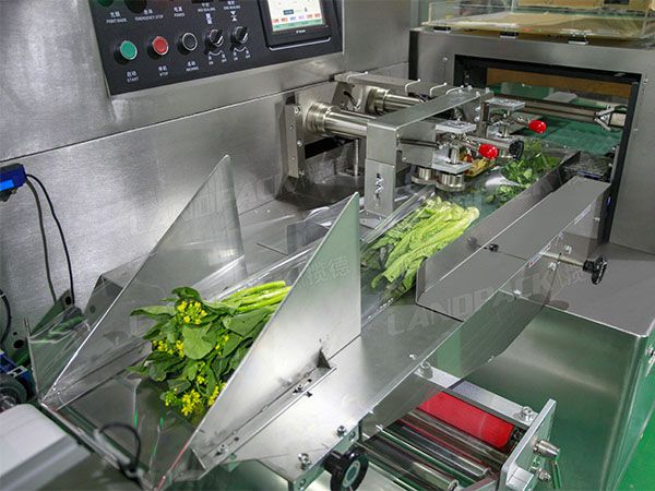 vegetable packaging machine