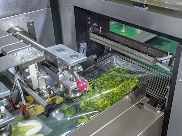 vegetable wrapping machine