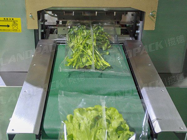vegetable packaging equipment