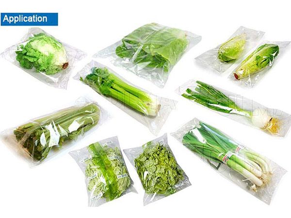 vegetable packing machine