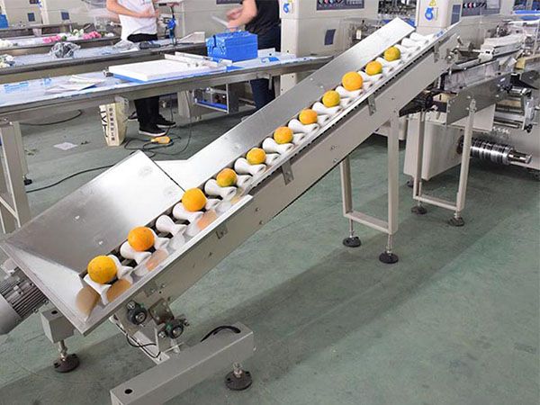 fruit packing machine price