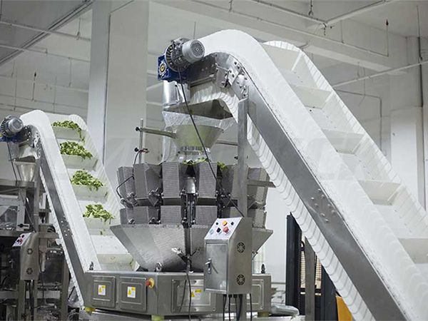 vegetable packing machine price