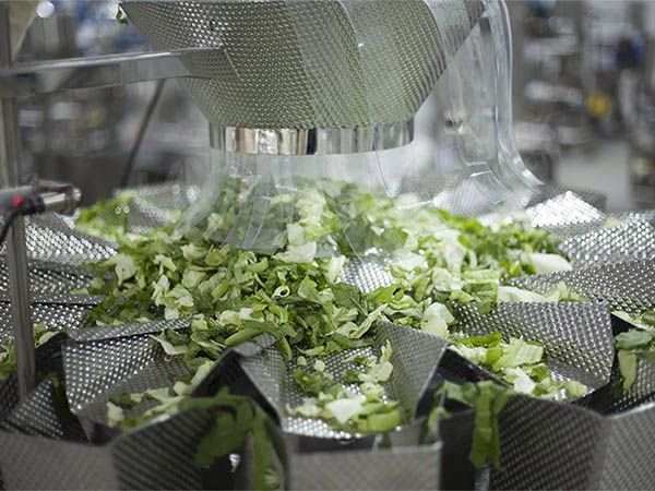 vegetable packing machine price