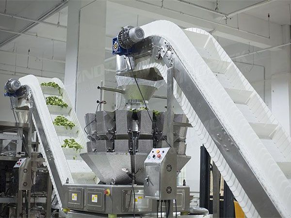 vegetable packing machine