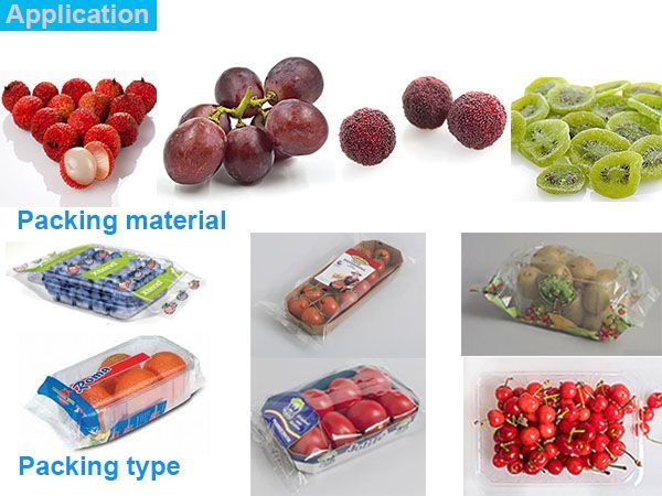 fruit packing machine