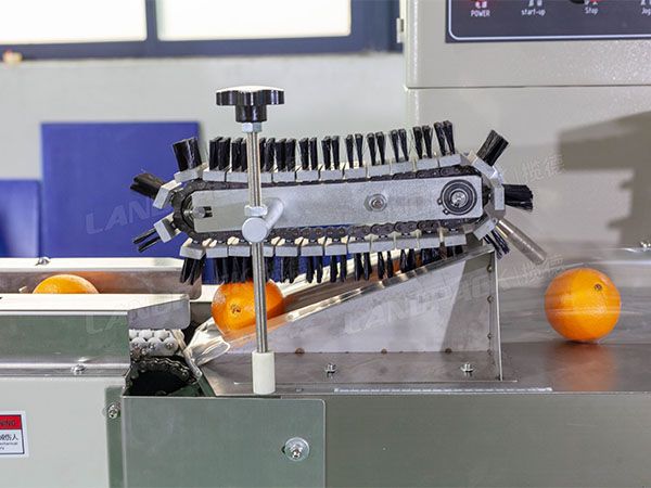 fruit packing machine