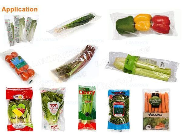 vegetable packaging machine