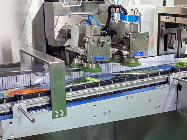 vegetable packaging machine