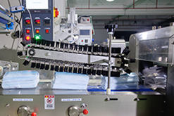 Landpack Flow Pack Machine