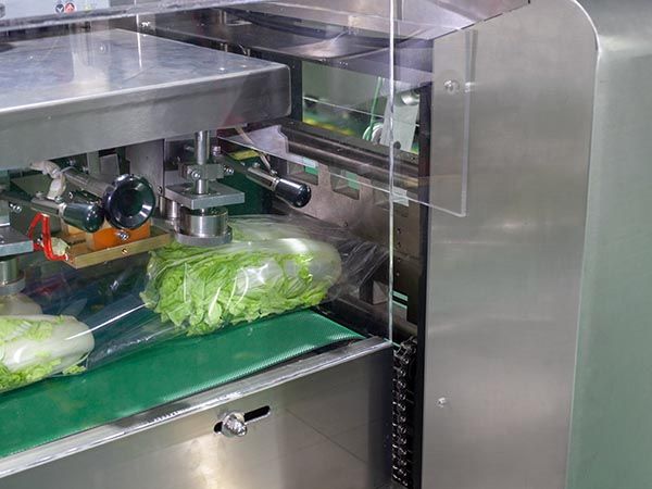 vegetable packing machine price