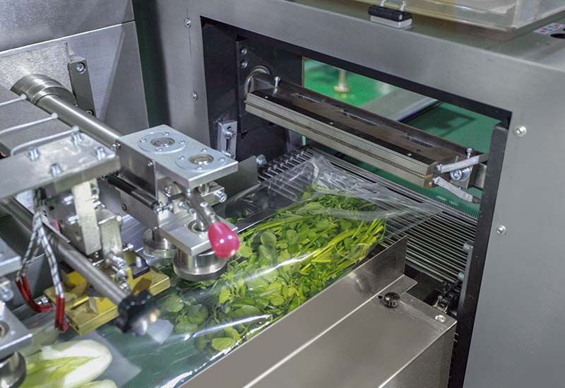 vegetable packaging machine