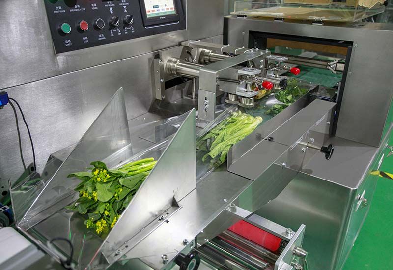 vegetable packing machine