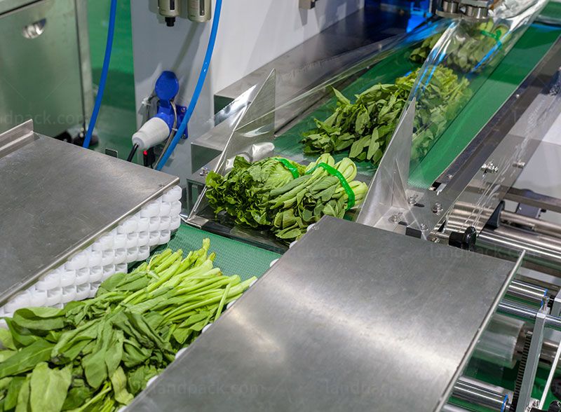 vegetable wrapping machine