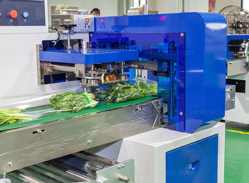 lettuce packaging machine