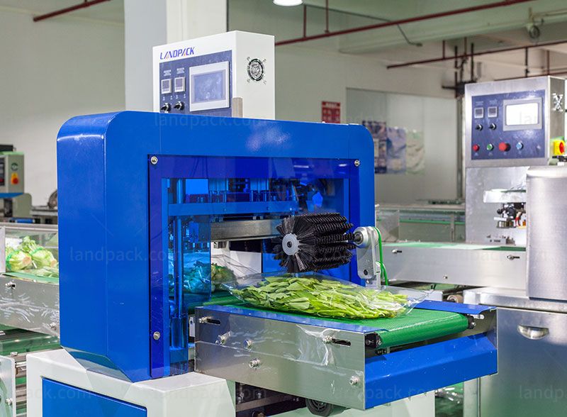 vegetable packing machine price