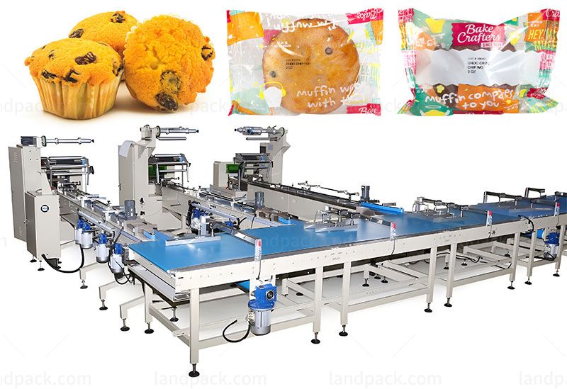 bread feeding packing machine