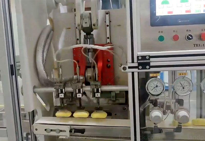 detergent soap packing machine