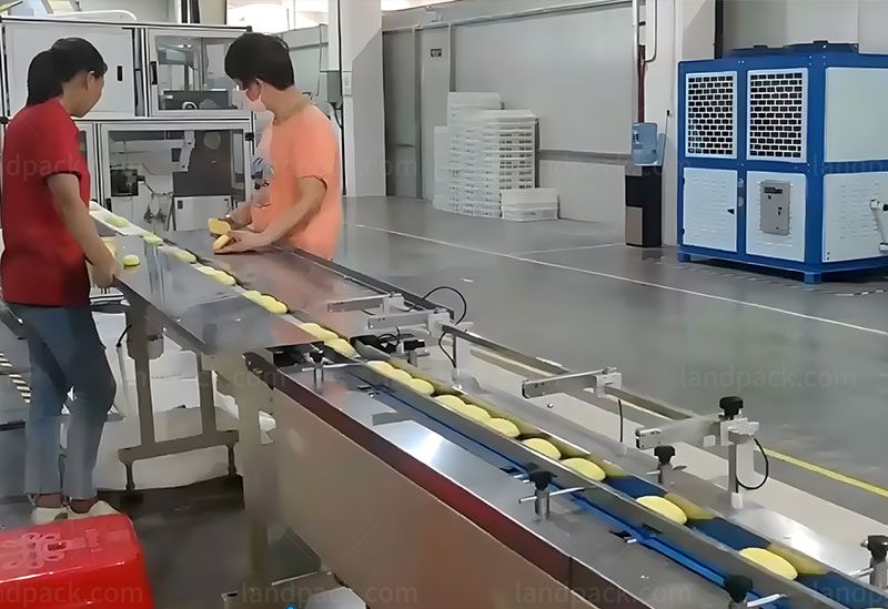 bar soap packaging machine