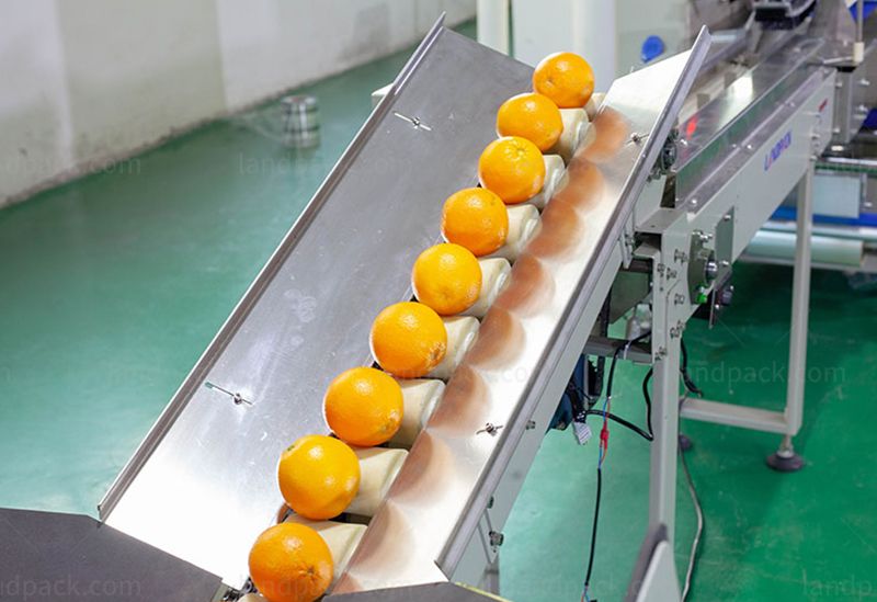 fruit packing machine