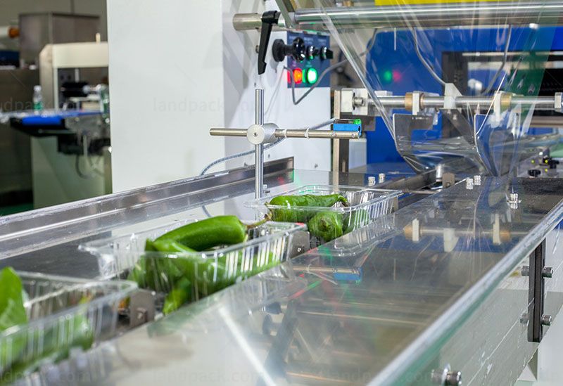onion packing machine