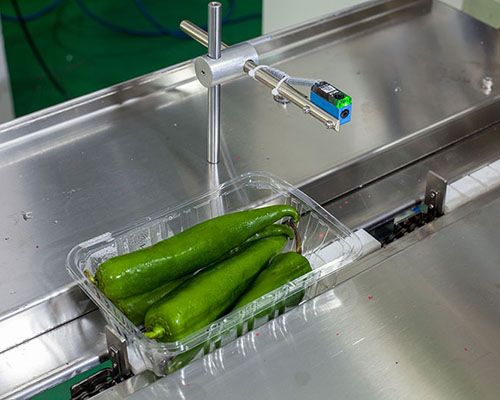 Vegetable Fruit Packing Machine | Pepper In Tray Flow Wrapping Machine